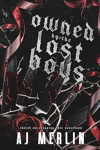 Owned By The Lost Boys