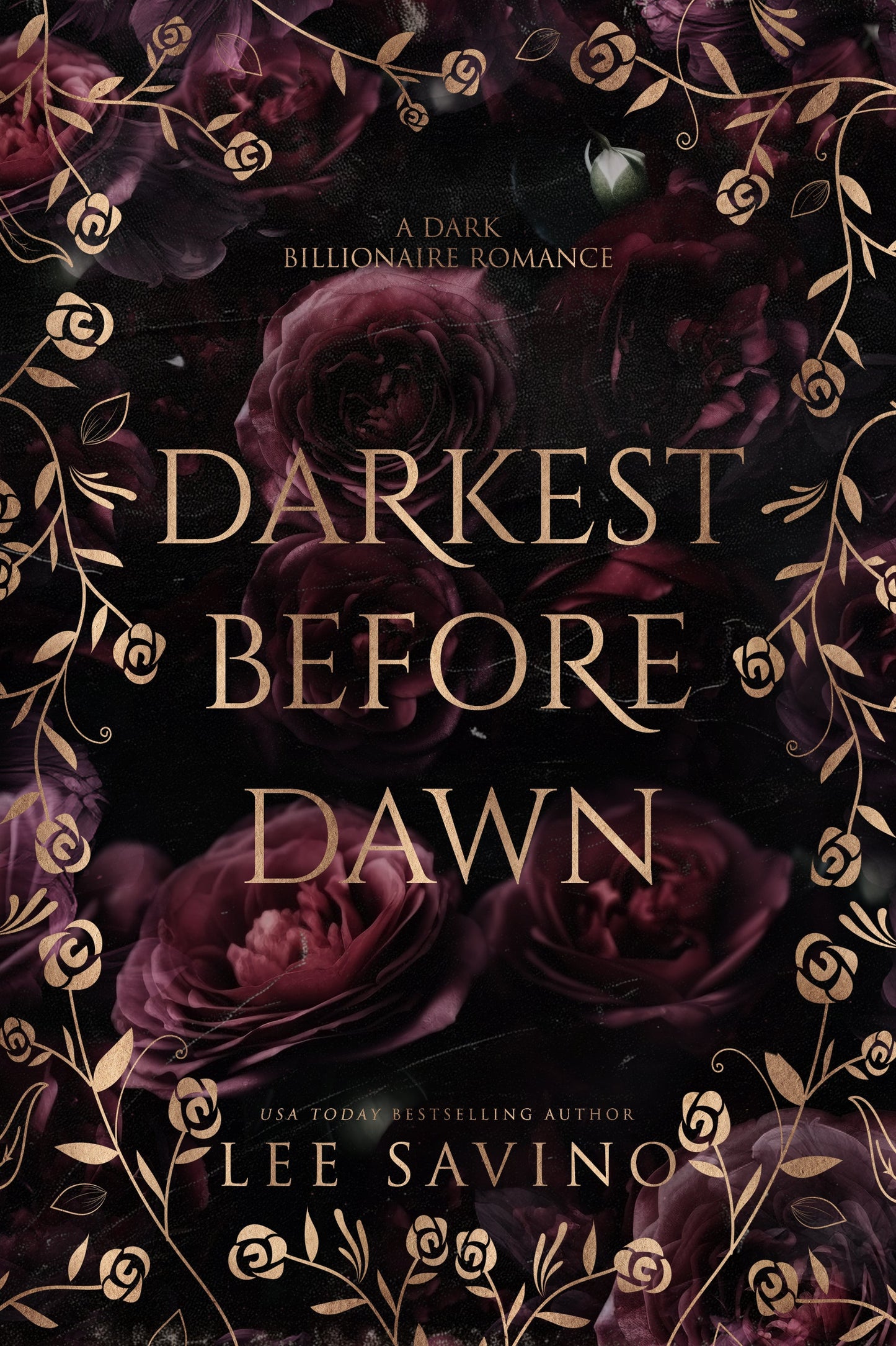 2. Darkest Before Dawn - E-book