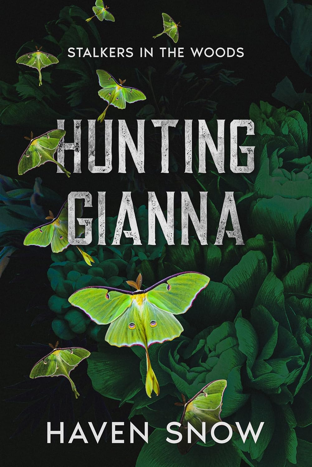 Hunting Gianna: Stalkers in the Woods Book 3