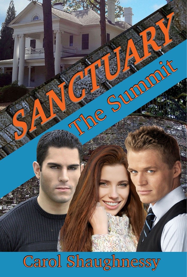 The Summit (Sanctuary Book 1)