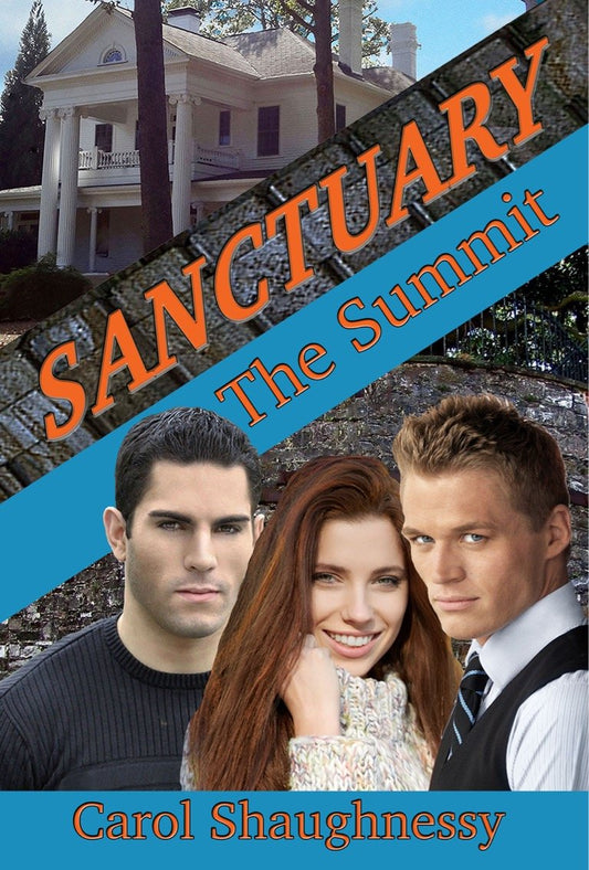The Summit (Sanctuary Book 1)